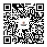 任性宝贝DIY百变童车带您轻松创业