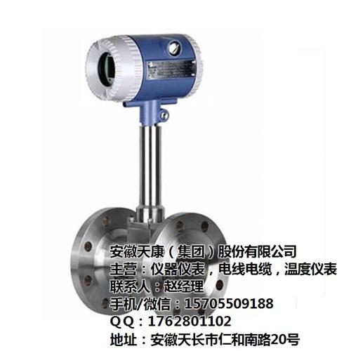 靶式流量计厂家|天津靶式流量计|安徽天康  靶式流量计生产厂  靶式流量计生产销