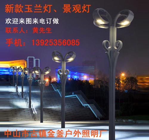 中山景观灯厂_广场景观灯加工厂_景观灯厂&nbsp;&nbsp;园林景观灯&nbsp;&nbsp;景观灯价格