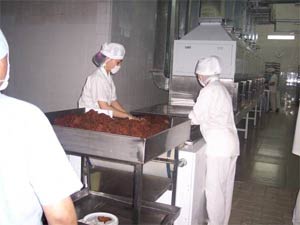 大豆粕微波杀菌去腥机  大豆粕微波杀菌去腥机厂家  大豆粕杀菌机  大豆粕去腥机