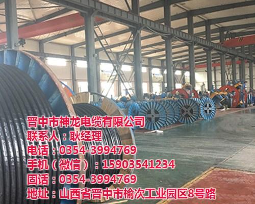 电力电缆_神龙电缆_山西电力电缆  山西电力电缆厂  太原电力电缆批发