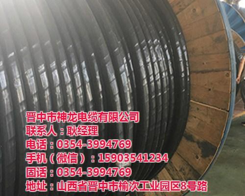 优质电力电缆、太原电力电缆、神龙电缆(图 低压电力电缆 电力电缆报价
