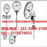 wss-501wss双金属温度计