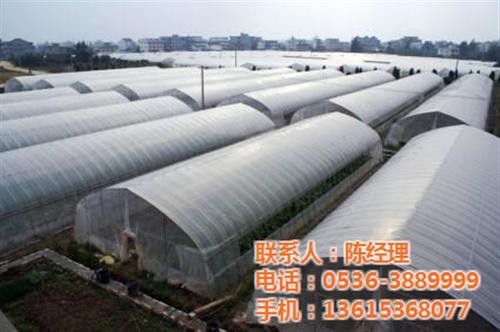 智能温室、鑫华生态农业、智能温室大棚造价  智能温室哪家好  智能温室造价