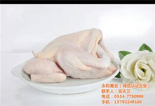 三黄白条鸡选哪家_三黄白条鸡_永和禽业(  三黄白条鸡生产厂  三黄白条鸡求购