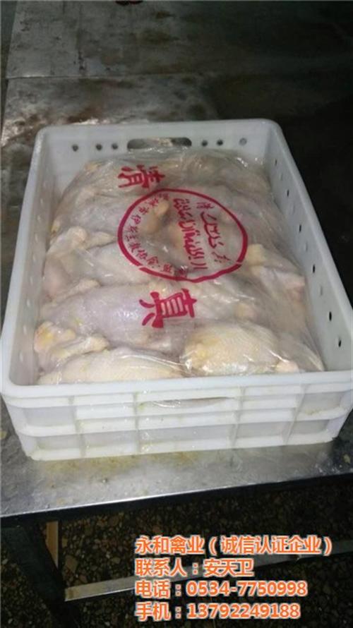 三黄白条鸡价格|三黄白条鸡|永和禽业(多  三黄白条鸡报价  三黄白条鸡选哪家