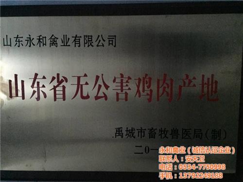 三黄白条鸡生产厂家,三黄白条鸡,永和禽业  三黄白条鸡多少钱  三黄白条鸡求购