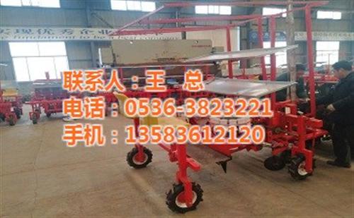 辣椒栽苗机|栽苗机|军岩农业机械(图)  甜叶菊栽苗机  西红柿栽苗机