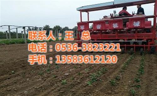 蔬菜栽苗机、栽苗机、军岩农业机械(图)  辣椒栽苗机  西红柿栽苗机