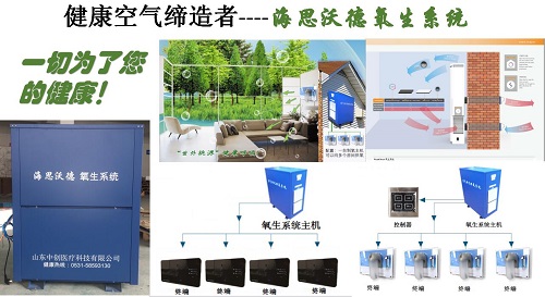 弥散制氧机负离子空气净化海思沃德