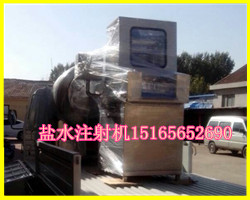 全自动盐水注射机 盐水注射机价格 大型盐水注射机