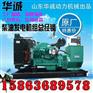 小铲车490K柴油发动机潍坊工厂