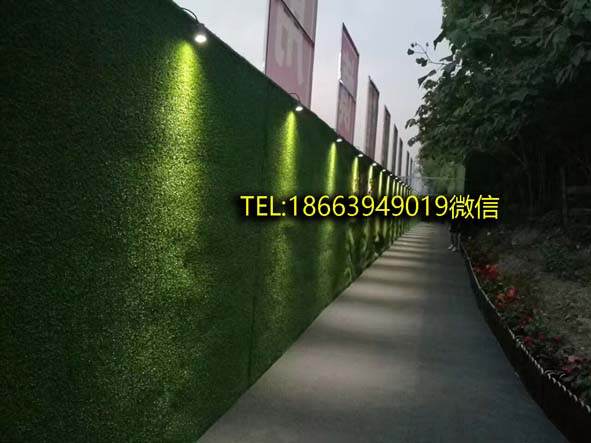 临漳县围挡装饰草坪怎么挑选