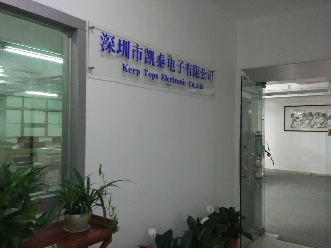深圳市凯泰电子有限公司