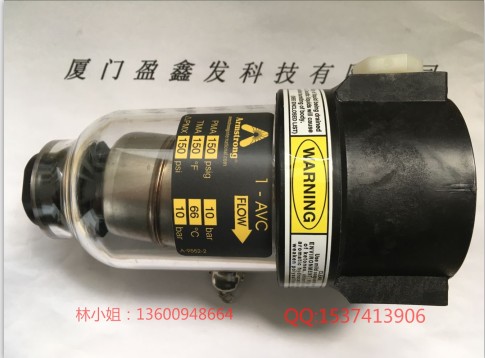 美国ARMSTRONG排气阀1-AVC