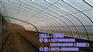 郑州温室大棚,【欣荣温室工程】,郑州温室
