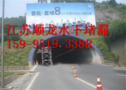 抚州市水下封堵公司-龙头企业