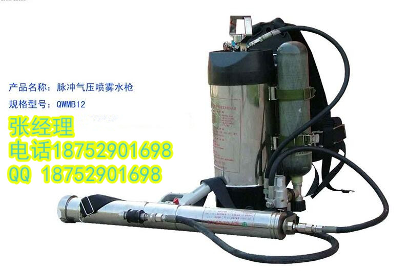 QWMB12背负式脉冲气压水枪