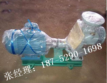 船用卧式自吸泵