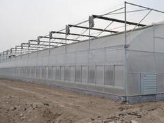 玉林蔬菜大棚——建广西温室大棚要多少钱&nbsp;&nbsp;建温室大棚要多少钱&nbsp;&nbsp;广西温室大棚造价