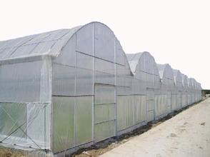 独栋蔬菜大棚 [广西融通四海]广西温室大&nbsp;&nbsp;广西温室大棚&nbsp;&nbsp;广西农业大棚