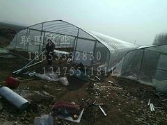 智能温室大棚搭建-找放心的智能温室建造就&nbsp;&nbsp;山东智能温室建造&nbsp;&nbsp;智能温室建设