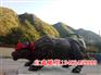 关公佛像厂家