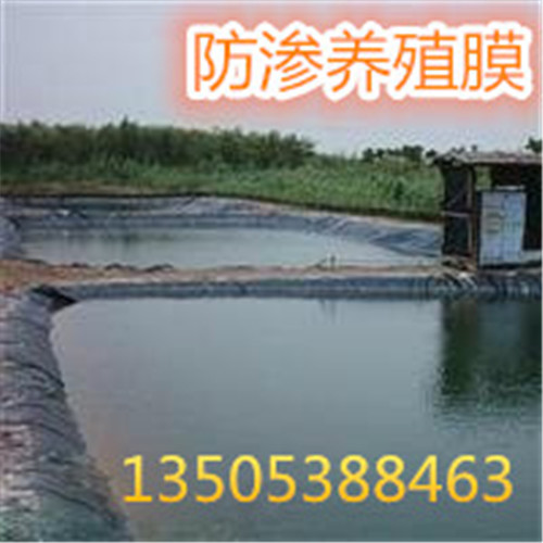 H20日喀则地下室顶板排水板¥@厂家直销