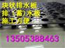 H20滁州地下室顶板排水板¥@厂家直销