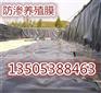 H20襄阳地下室顶板排水板¥@厂家直销