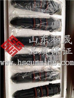 QSK23喷油器4902828/4902827【邵姑娘】