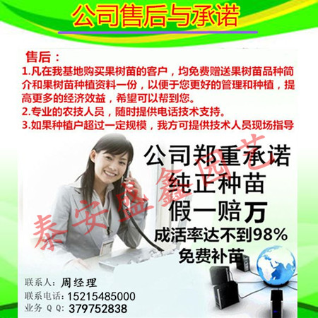 邢台市0.8公分以上油叶花椒树苗批发价格
