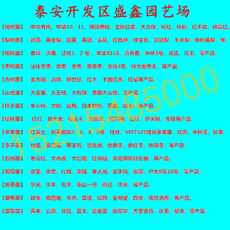 邢台市0.8公分以上油叶花椒树苗批发价格