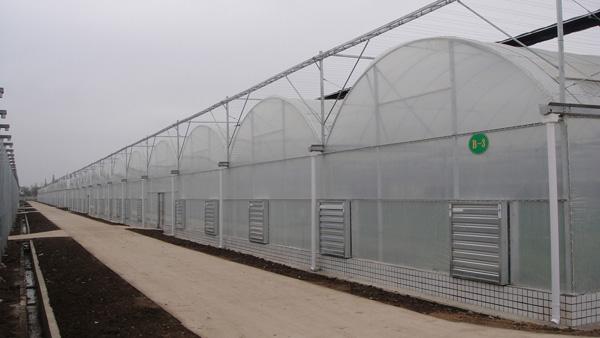山东智能温室建设|山东专业的新型智能温室&nbsp;&nbsp;新型智能温室建设&nbsp;&nbsp;新型智能温室建造&nbsp;&nbsp;寿光智能温室建设