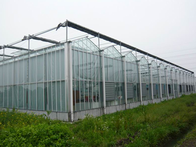 【刷爆朋友圈】PC阳光板温室建设+山东日&nbsp;&nbsp;山东日光温室设计