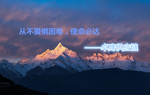 进口新加坡棕榈刷货代服务商