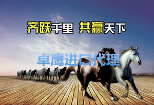 英国棕榈刷进口清关一线操作