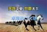 印尼棕榈刷报关一线操作