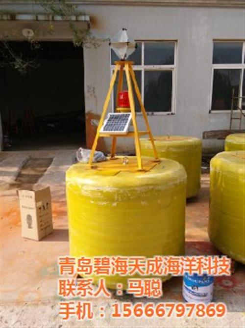 浮标_碧海天成_浮标语言  浮标的选择  浮标液位计