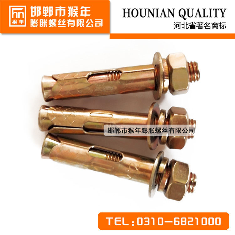 小头套管壁虎_邯郸新品带孔套管壁虎出售&nbsp;&nbsp;带孔膨胀丝&nbsp;&nbsp;带孔膨胀栓