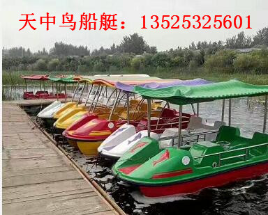 厂家直销新款脚踏船 款式多样  电动船  电动艇