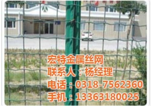 圈山荷兰网,湖北荷兰网,荷兰网厂家(图)  养鸭荷兰网  荷兰网围墙