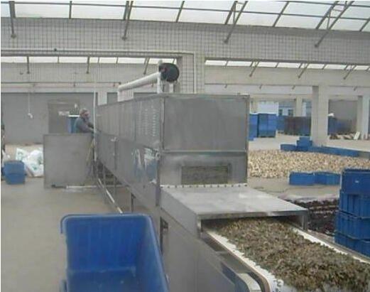 水蜜丸烘干设备 微波水蜜丸干燥灭菌机价格  微波烘干设备  水蜜丸烘干机  水蜜丸杀菌机