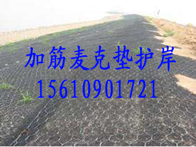 镀高尔凡防洪护坡加筋麦克垫生态环保&nbsp;&nbsp;防洪加筋麦克垫&nbsp;&nbsp;镀高尔凡麦克垫&nbsp;&nbsp;生态环保麦克垫