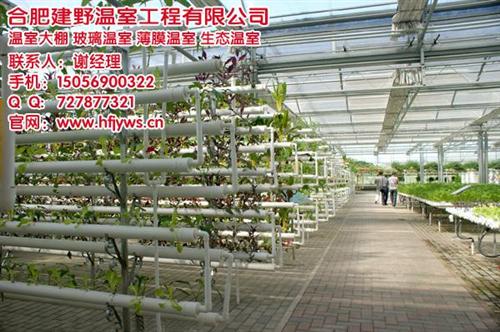 蔬菜大棚骨架_淮南蔬菜大棚_合肥建野大棚  冬暖式蔬菜大棚  有机蔬菜大棚