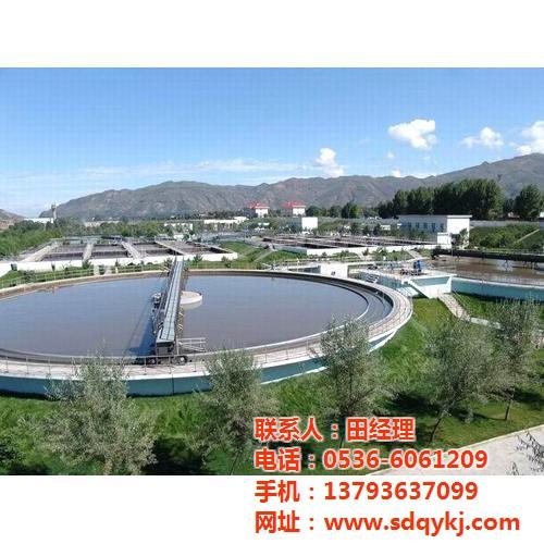 刮油刮泥机工艺,甘肃刮油刮泥机,诸城清源  刮油刮泥机报价  刮油刮泥机哪家好  刮油刮泥机型号