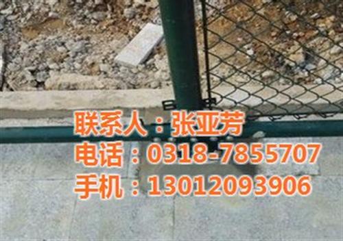 专业生产网球场围网门|网球场围网|双晟丝  网球场围网门参数  专业制造网球场围  长期供应网球场围