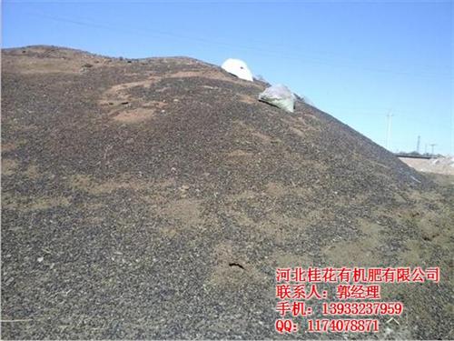桂花有机肥_麻山药专用羊粪肥_专用羊粪肥  专用羊粪肥厂家  专用羊粪肥批发  专用羊粪肥批发厂