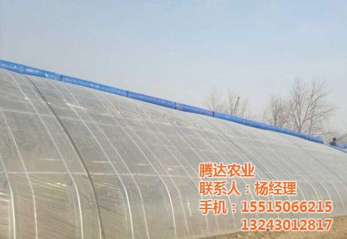 温室大棚建设|腾达农业|温室大棚建设哪家  日光温室大棚建设  双层日光温室大棚