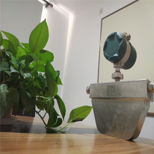 北京哪里有供应价位合理的微小质量流量计  流量计价格